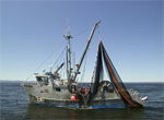 Fishing Boats for Sale