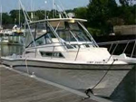 Used Power Boats for Sale