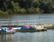 Paddle Boats for Cheap
